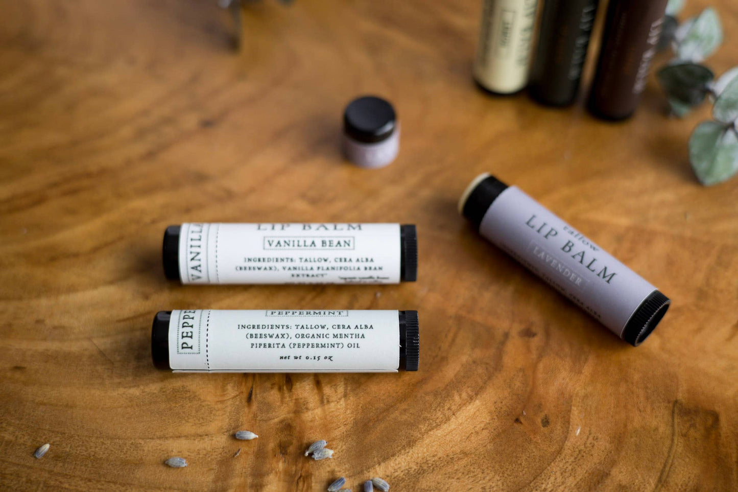 Tallow Lip Balm