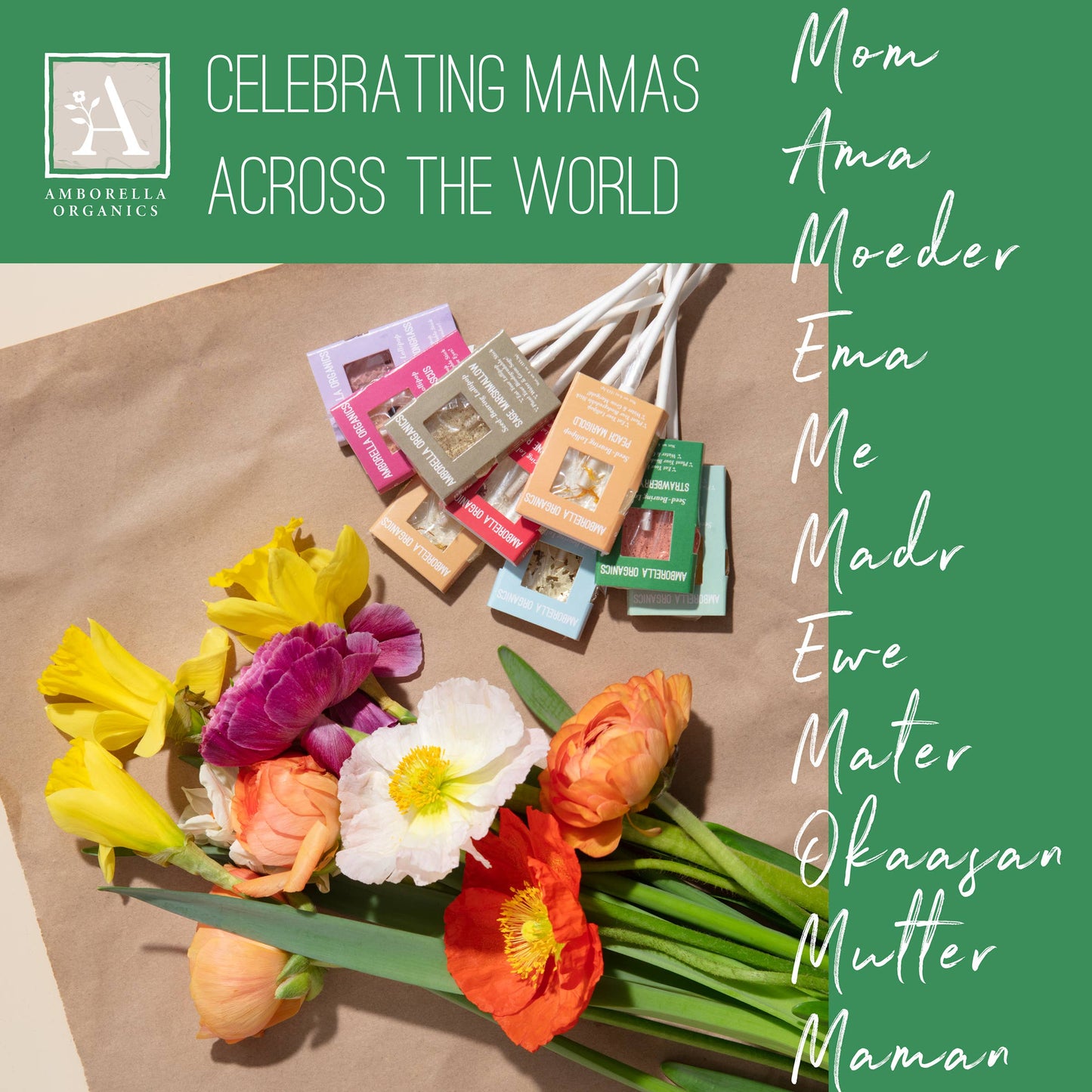 Mother's Day Cards (Eat, Plant, Grow Herb/Flower)