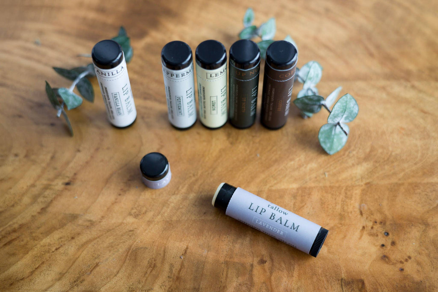 Tallow Lip Balm